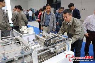 全國第十一屆菌博會 商務(wù)信息咨詢助力產(chǎn)業(yè)升級與貿(mào)易拓展