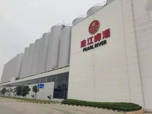 南沙崛起 廣州下一個(gè)琶醍，商務(wù)信息咨詢(xún)新機(jī)遇