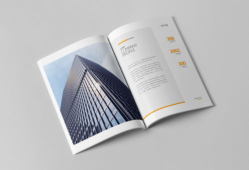 簡約大氣，專業(yè)信賴 商務(wù)咨詢與投資企業(yè)公司畫冊